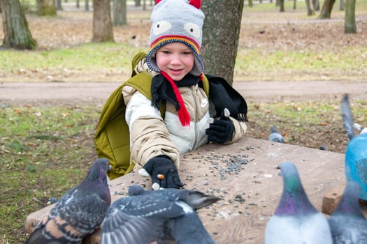 Cute little boy in green rubber boots is feeding pigeons from the bench. Image with toning and selective focus photo