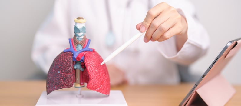 Doctor with Smoker and normal Lung anatomy for Disease. Lung Cancer, Asthma, Chronic Obstructive Pulmonary or COPD, Bronchitis, Emphysema, Cystic Fibrosis, Bronchiectasis, Pneumonia and world Lung day photo