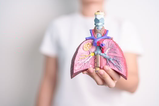 woman hold Smoker anatomy for Disease. Lung Cancer, Asthma, Chronic Obstructive Pulmonary or COPD, Bronchitis, Emphysema, Cystic Fibrosis, Bronchiectasis, Pneumonia and world Lung day concept photo