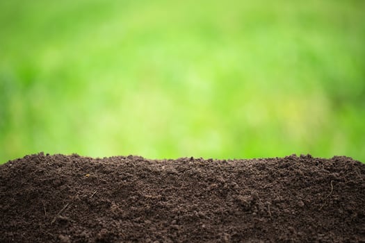 soil against the background of blurred plants, pile of fertile ground photo