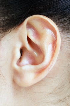 Female ear closeup shot photo