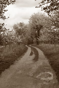 nature landscape photo