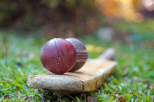 Red cricket ball and cricket bat on grass. Soft and selective focus. photo