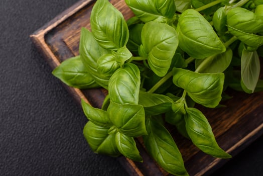 Fresh herbs basil in the form of a bush as an ingredient for cooking at home photo
