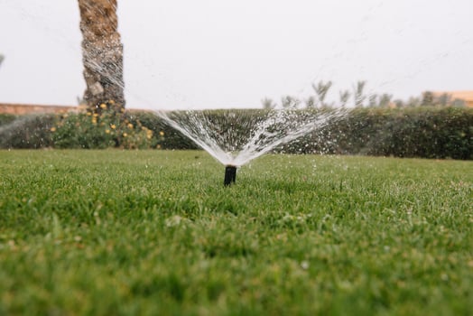 automatic sprinkler system watering the lawn on a background of green grass, close-up photo