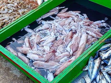 Sales of pindang fish, squid and shrimp photo
