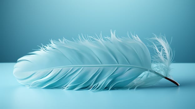 Feather blue fur copy space background photo