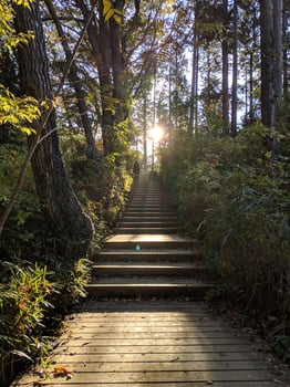 Stairway to Hope photo