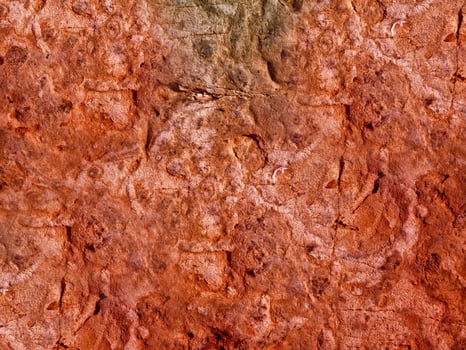 Stone texture of various colors photo