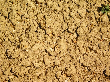 Arid land texture photo