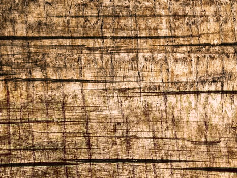 Wooden texture of various colors photo