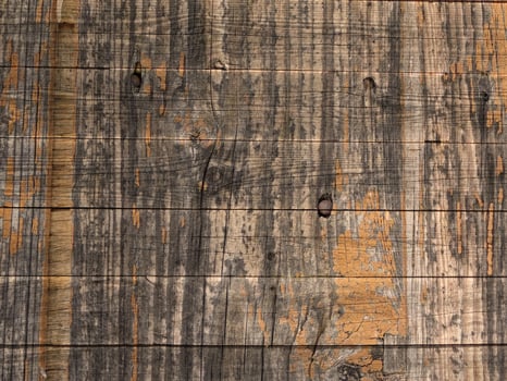Wooden texture of various colors photo