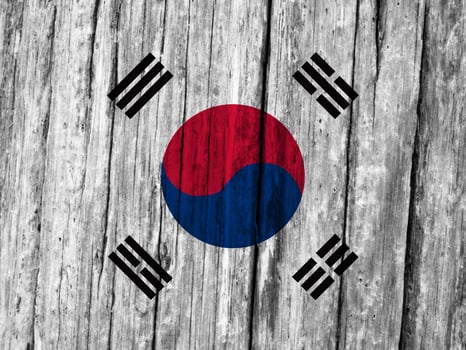 South Korea flag with texture photo