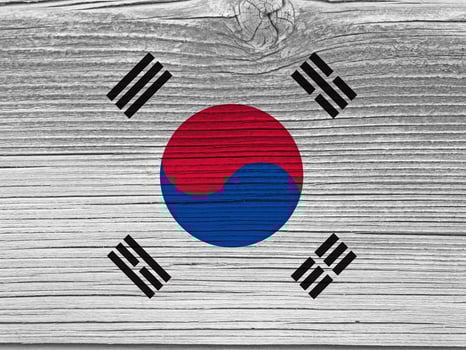 South Korea flag with texture photo