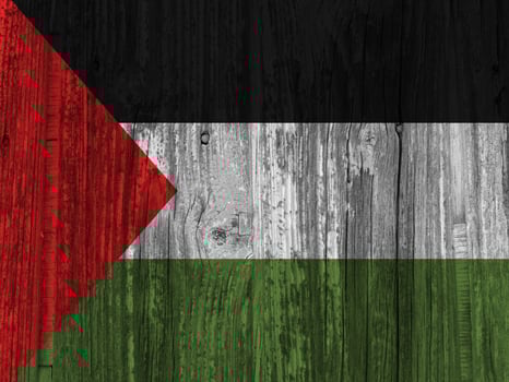 Palestine flag with texture photo