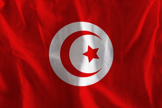 Tunisia flag with texture photo