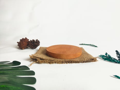 photography of circular wooden coasters with leaf ornaments on a white background suitable for mock-ups photo