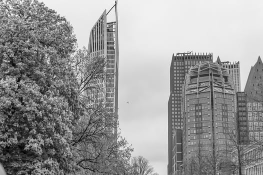 the city of den haag in holland photo