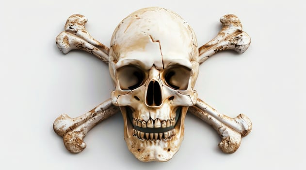 skull and crossbones, isolated on a white background photo