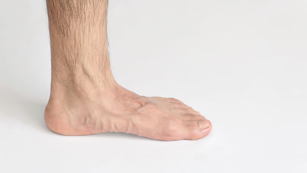 Inner view of adult man's ankle, against a white background with space for text, left foot, full foot photo