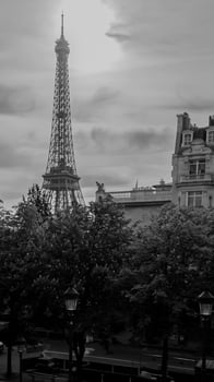 Monochrome Eiffel Tower looming over Parisian spring foliage, urban European architecture, shot in Paris, France, on April 14th, 2024, ideal for travel and culture themes photo