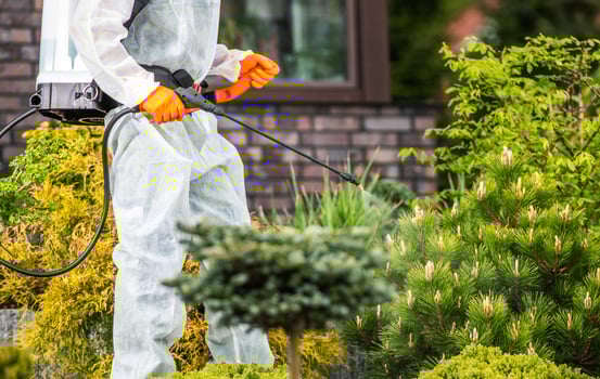 Insecticide Garden Job Theme photo