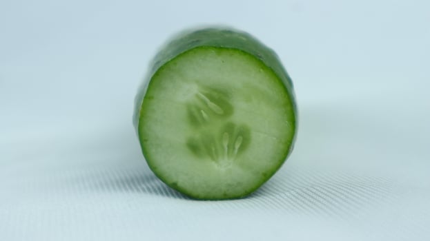 single sliced cucumber isolated on white background photo