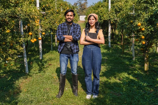 man and a woman stand in a field of oranges photo