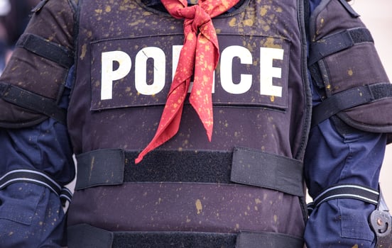 Riot police dispersed protesters and were pelted with paint. photo