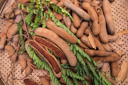 Closeup Focus Some Ripe Tamarind Fruits with Green Leaves photo