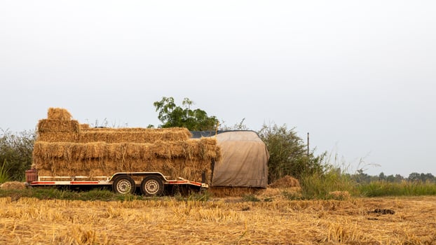 Stacks of straw bales tied with rope stacked. photo