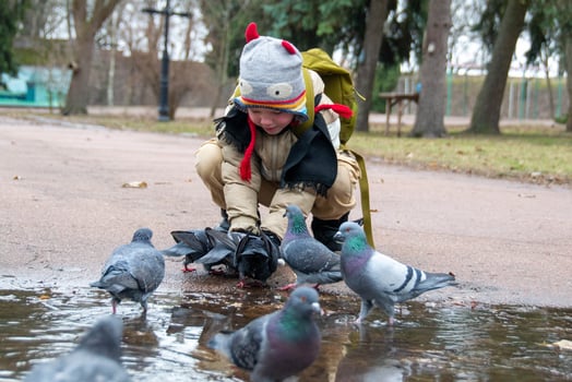 Cute little boy in green rubber boots is feeding pigeons from the bench. Image with toning and selective focus photo