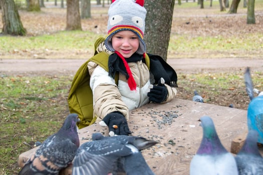 Cute little boy in green rubber boots is feeding pigeons from the bench. Image with toning and selective focus photo