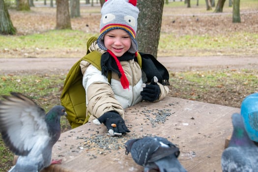 Cute little boy in green rubber boots is feeding pigeons from the bench. Image with toning and selective focus photo