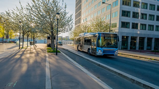 Early morning sunlight casts shadows on an urban street lined with blossoming trees, with a city bus in motion, ideal for public transportation and city life themes photo