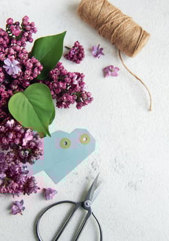 Lilac flowers background. photo