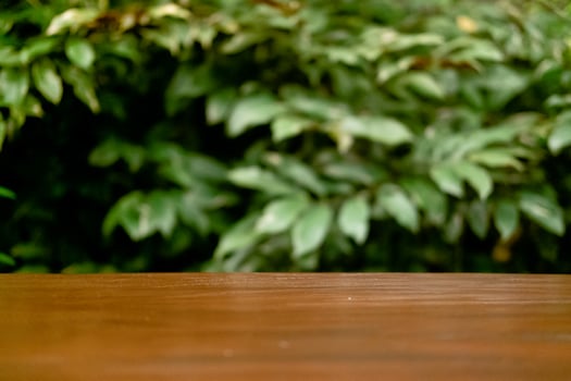 Selective Focus and Blur on Wooden Table with Green Leaves as Commercial Background photo