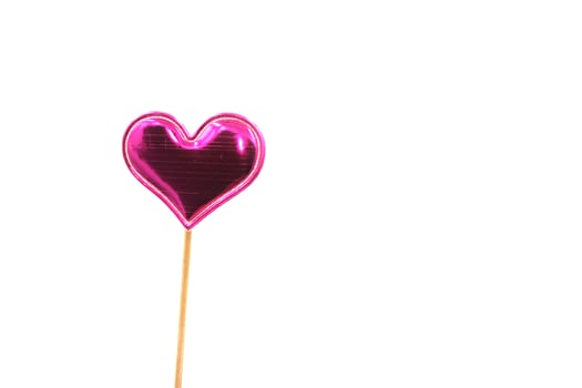 a sprig symbol of love. photo