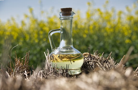 Jug filled with oil over blurred field of yellow rapeseed flowers photo