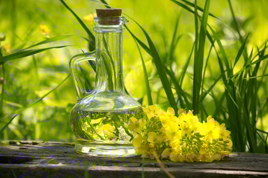 Clear glass pitcher with oil over blurred green nature background photo