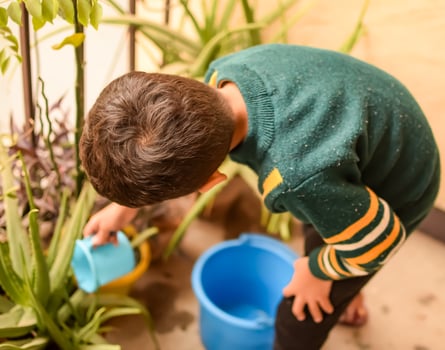 Cute 5 year old Asian little boy is watering the plant in the pots located at house balcony, Love of sweet little boy for the mother nature during watering into plants, Kid Planting photo