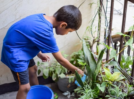 Cute 5 year old Asian little boy is watering the plant in the pots located at house balcony, Love of sweet little boy for the mother nature during watering into plants, Kid Planting photo