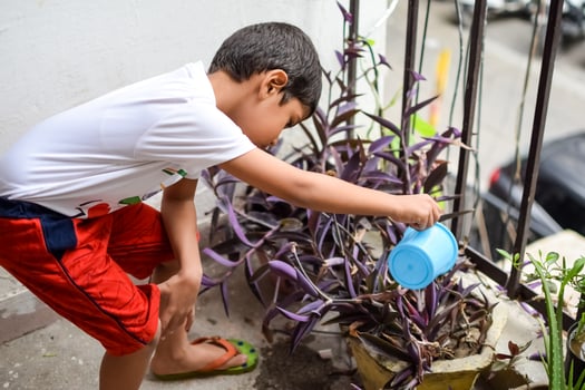 Cute 5 year old Asian little boy is watering the plant in the pots located at house balcony, Love of sweet little boy for the mother nature during watering into plants, Kid Planting photo
