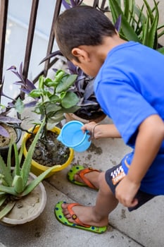 Cute 5 year old Asian little boy is watering the plant in the pots located at house balcony, Love of sweet little boy for the mother nature during watering into plants, Kid Planting photo