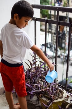 Cute 5 year old Asian little boy is watering the plant in the pots located at house balcony, Love of sweet little boy for the mother nature during watering into plants, Kid Planting photo