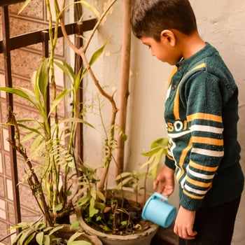 Cute 5 year old Asian little boy is watering the plant in the pots located at house balcony, Love of sweet little boy for the mother nature during watering into plants, Kid Planting photo