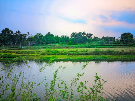 a river with a small pond and trees in the background photo