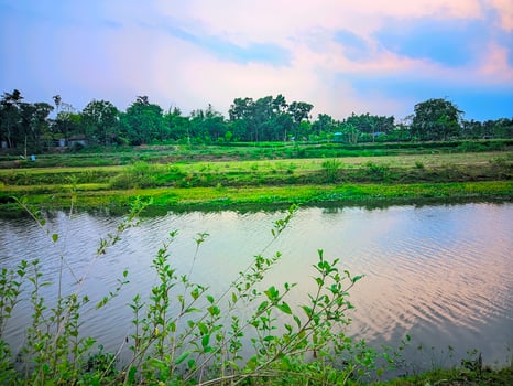 a river with a small pond and trees in the background photo