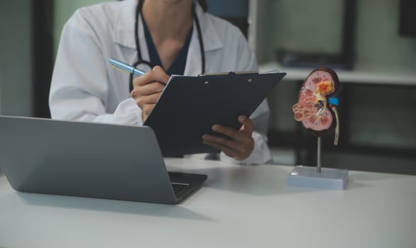 Female doctor explaining to patient results of model the process of patients. Diagnosis of diseases for Model Internal organ. photo