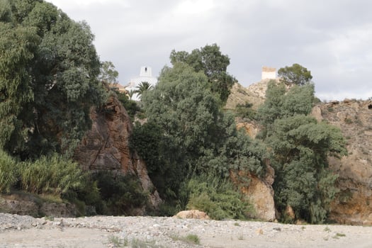 environment around the santa barbara bridge, almeria photo